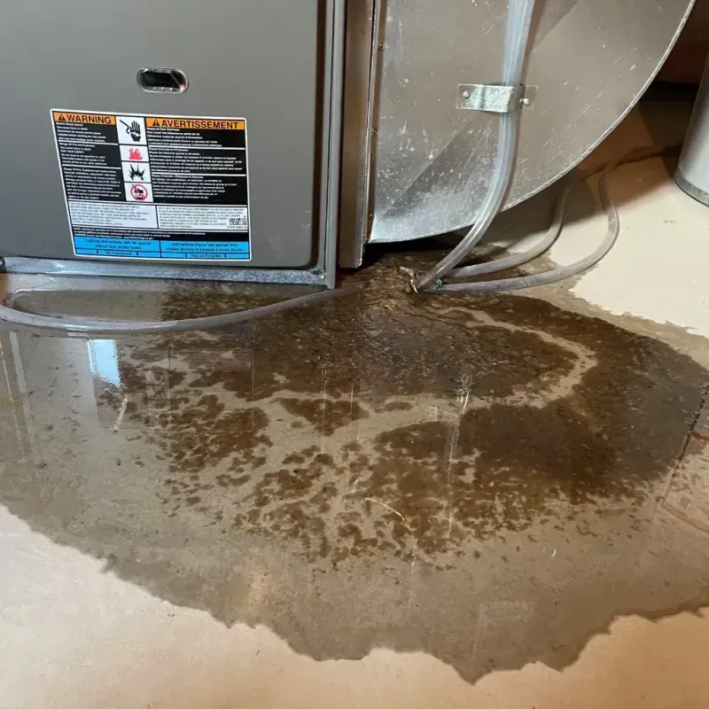 Appliance Leak Cleanup in New Haven, WV